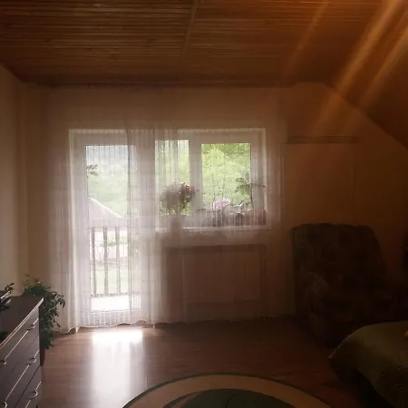 Pensionat Fortuna Karpaty